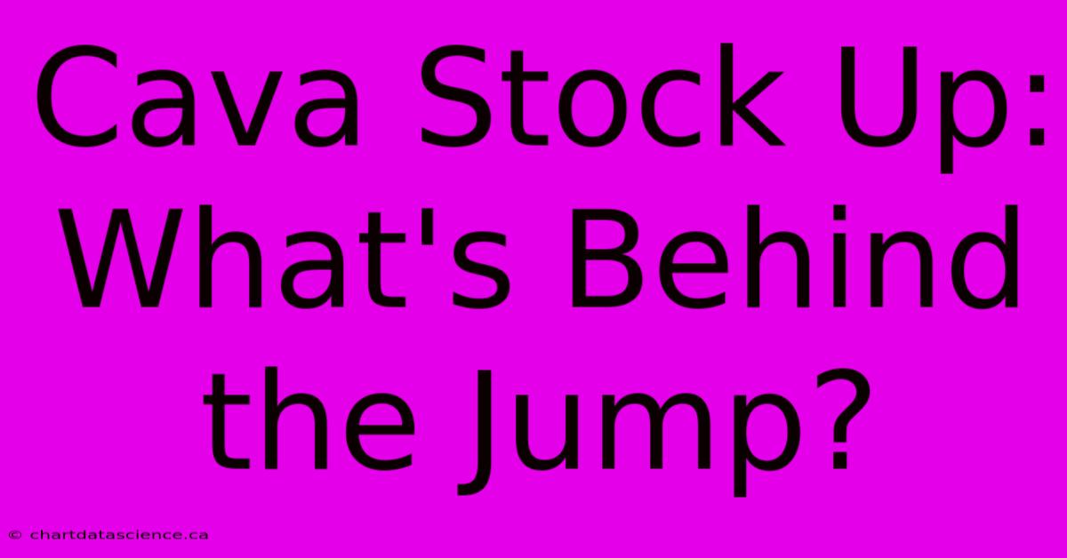 Cava Stock Up: What's Behind The Jump? 