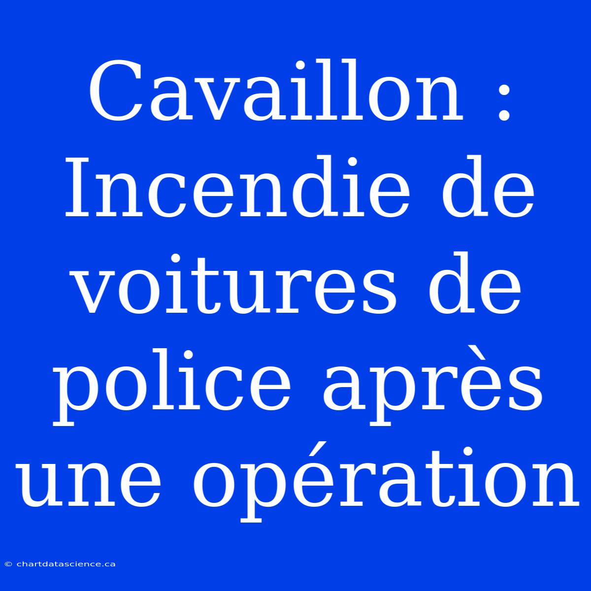 Cavaillon : Incendie De Voitures De Police Après Une Opération