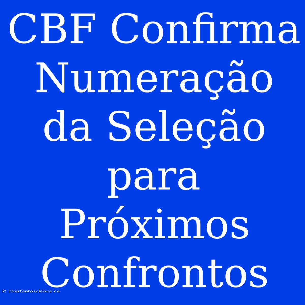 CBF Confirma Numeração Da Seleção Para Próximos Confrontos