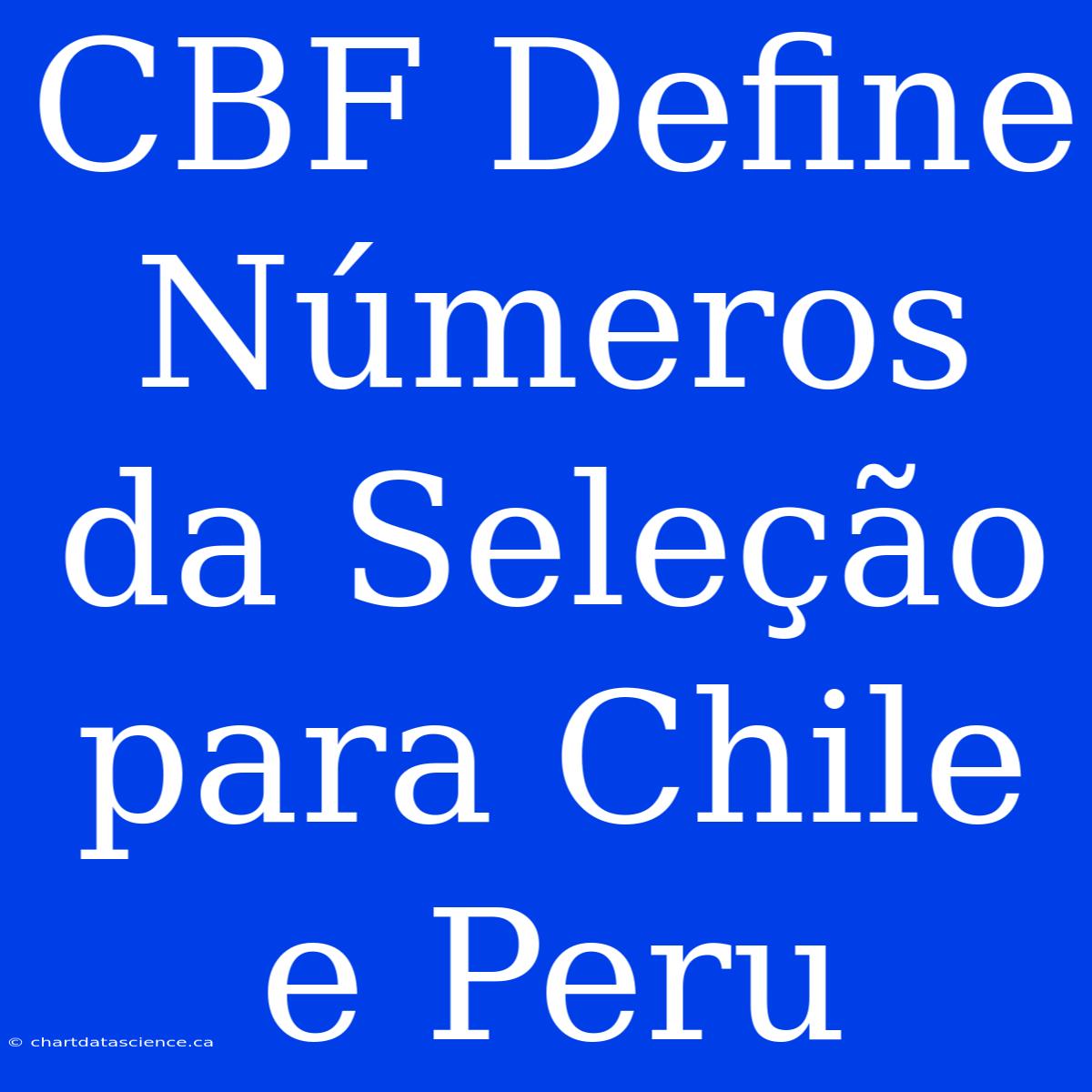 CBF Define Números Da Seleção Para Chile E Peru