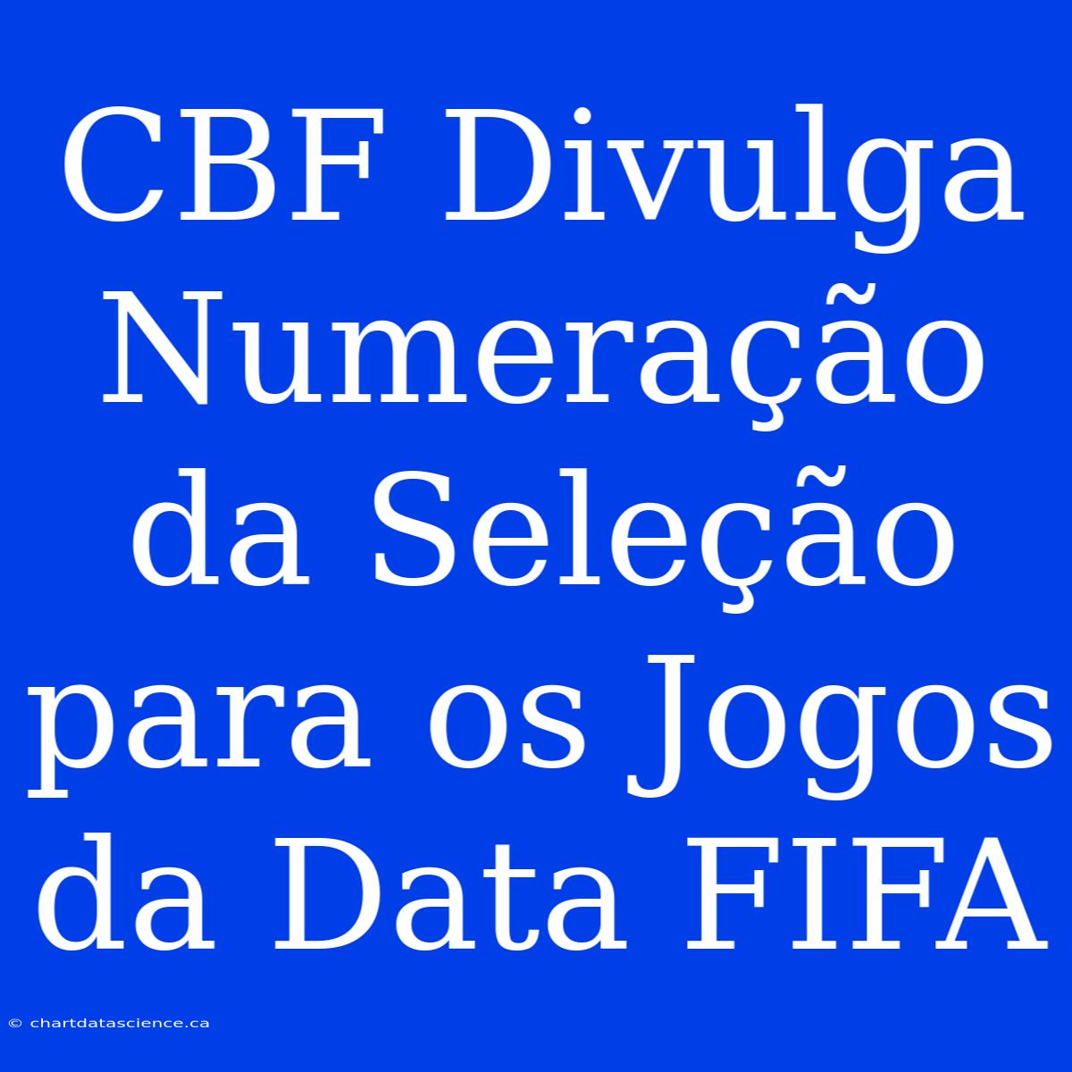 CBF Divulga Numeração Da Seleção Para Os Jogos Da Data FIFA