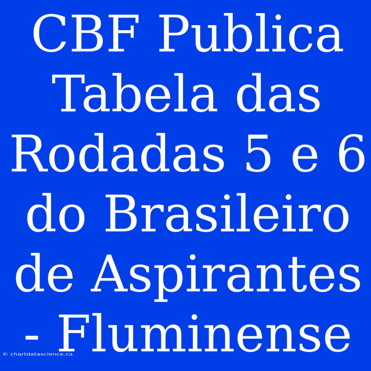 CBF Publica Tabela Das Rodadas 5 E 6 Do Brasileiro De Aspirantes - Fluminense