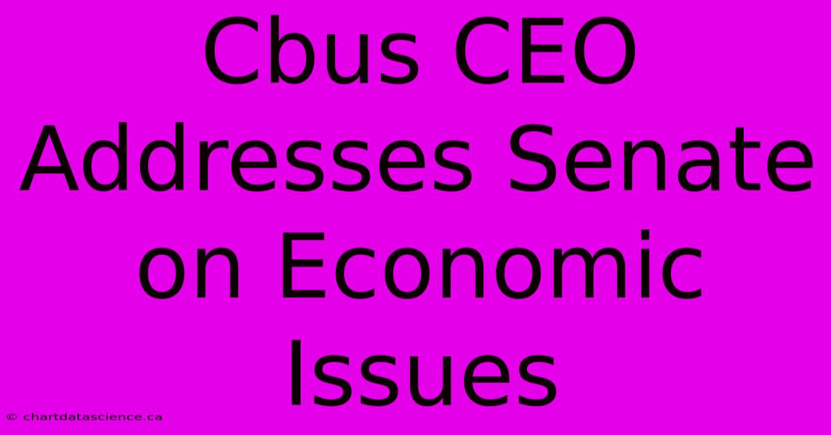 Cbus CEO Addresses Senate On Economic Issues 