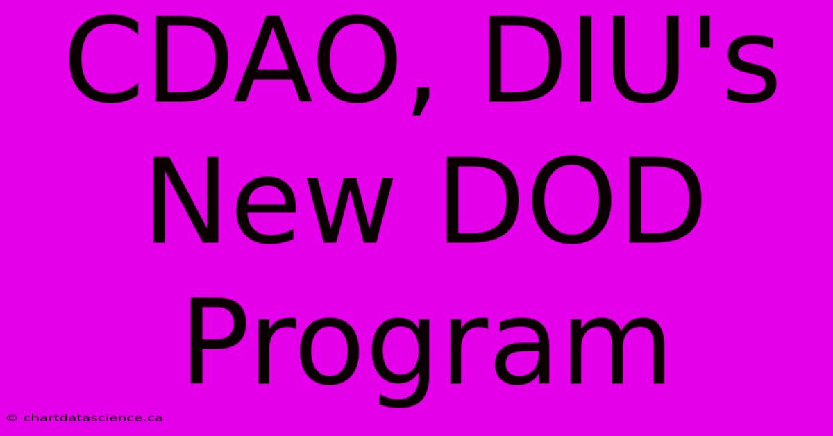 CDAO, DIU's New DOD Program