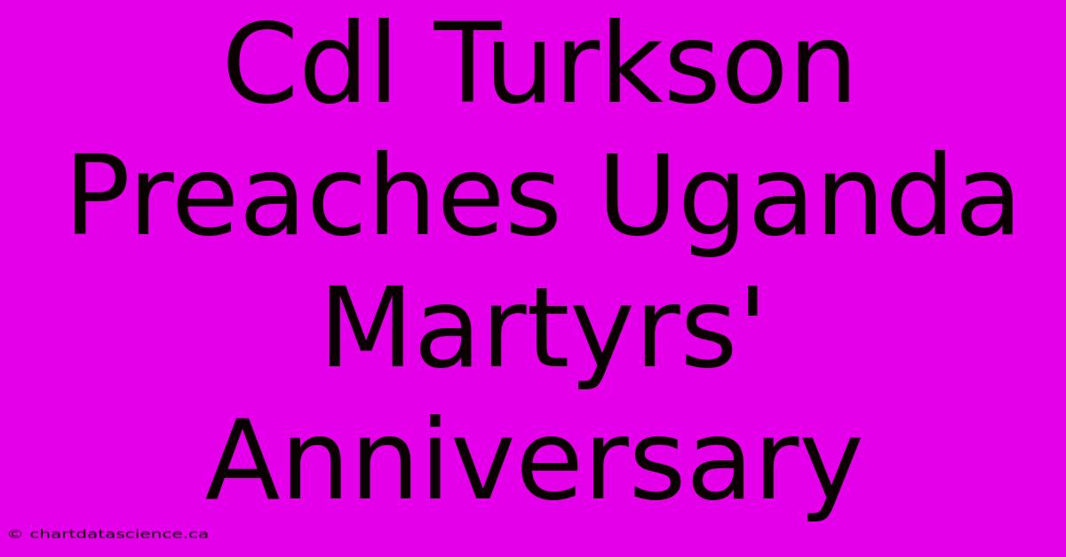 Cdl Turkson Preaches Uganda Martyrs' Anniversary