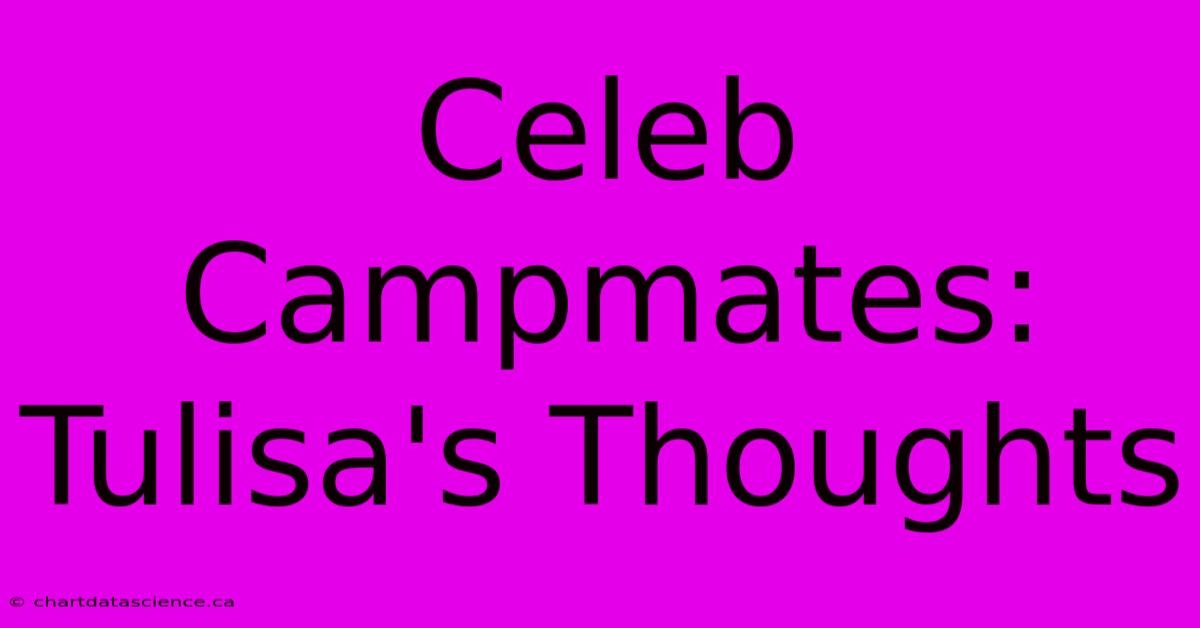 Celeb Campmates: Tulisa's Thoughts