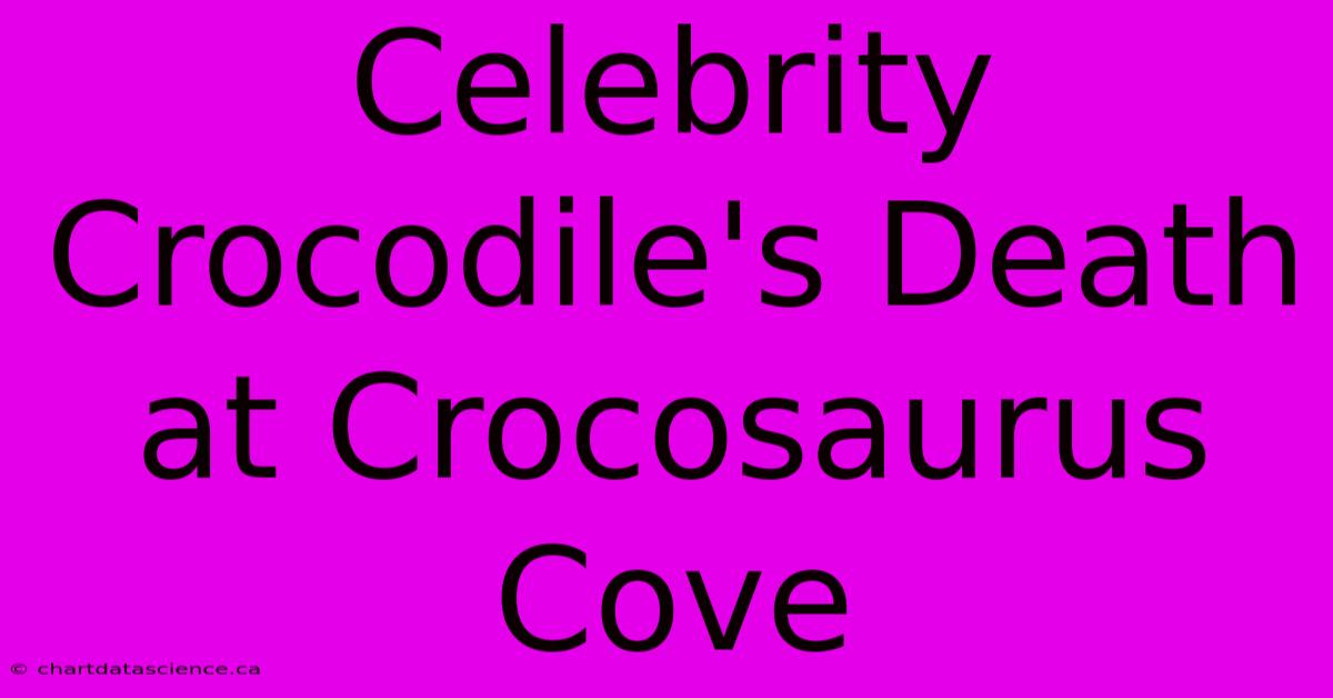 Celebrity Crocodile's Death At Crocosaurus Cove