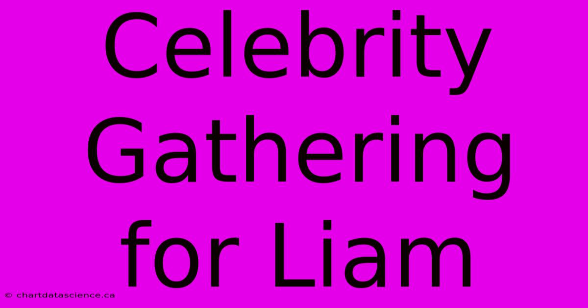 Celebrity Gathering For Liam