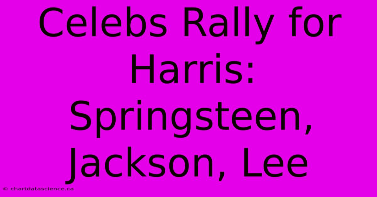 Celebs Rally For Harris: Springsteen, Jackson, Lee