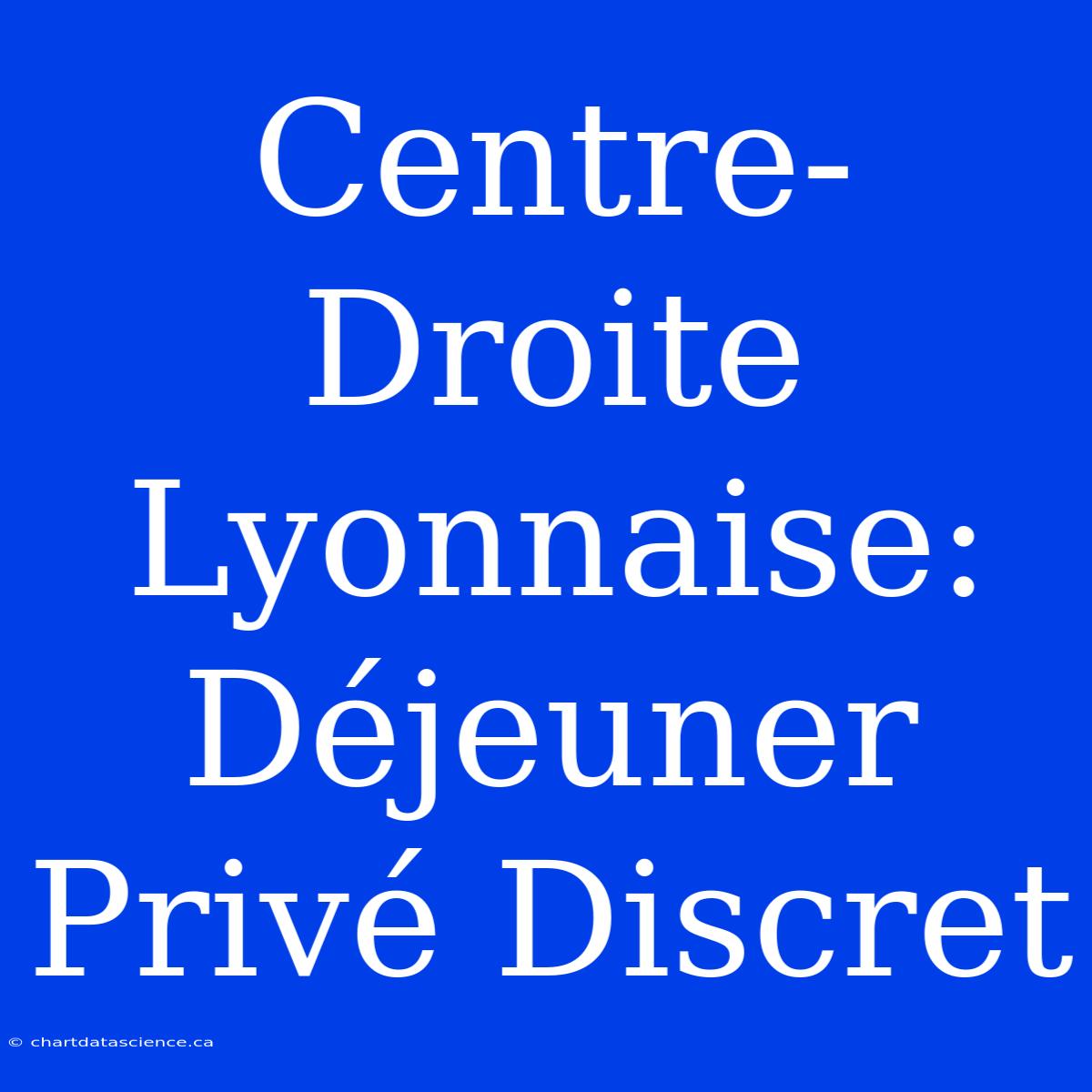 Centre-Droite Lyonnaise: Déjeuner Privé Discret