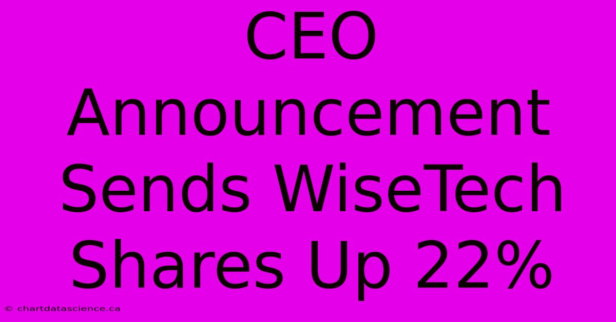 CEO Announcement Sends WiseTech Shares Up 22%