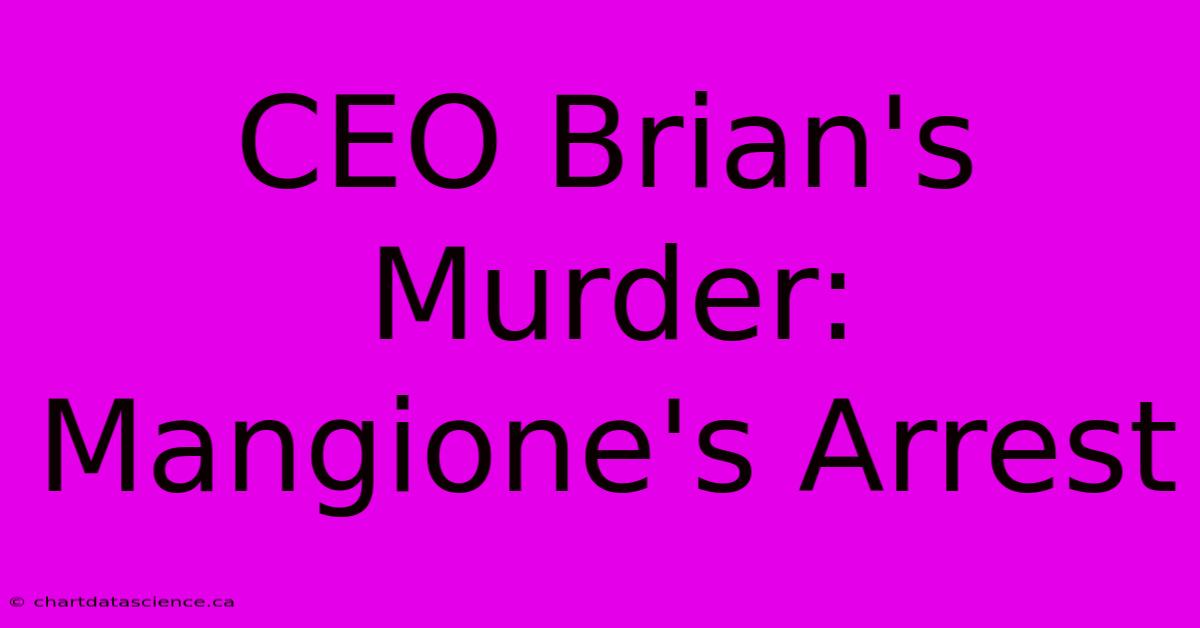 CEO Brian's Murder: Mangione's Arrest