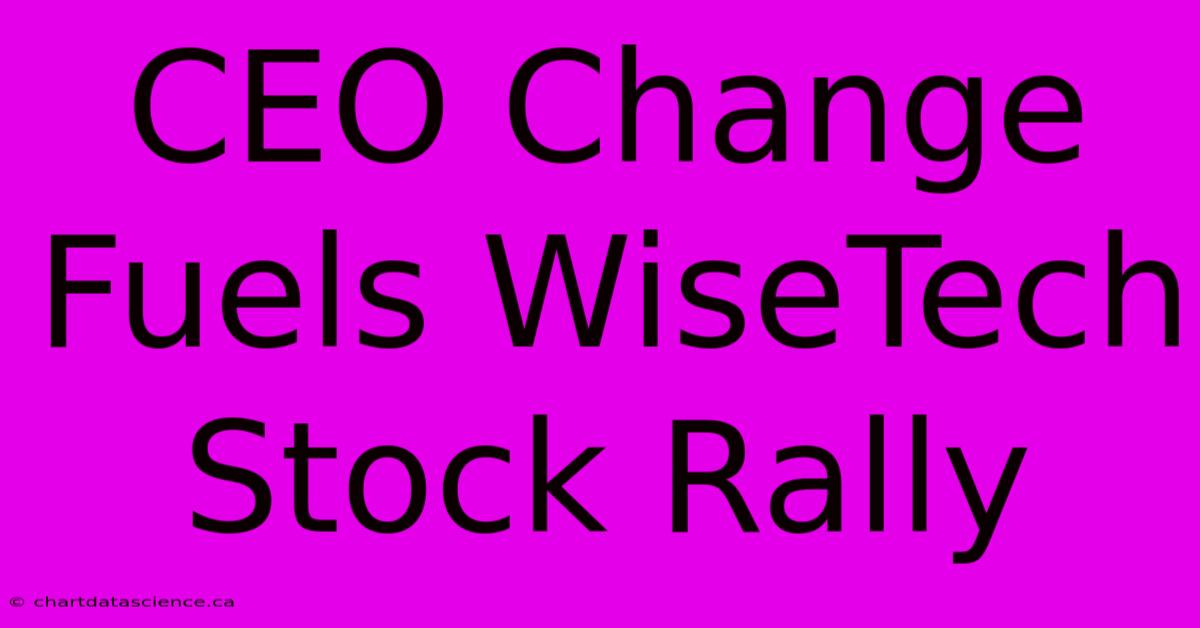 CEO Change Fuels WiseTech Stock Rally