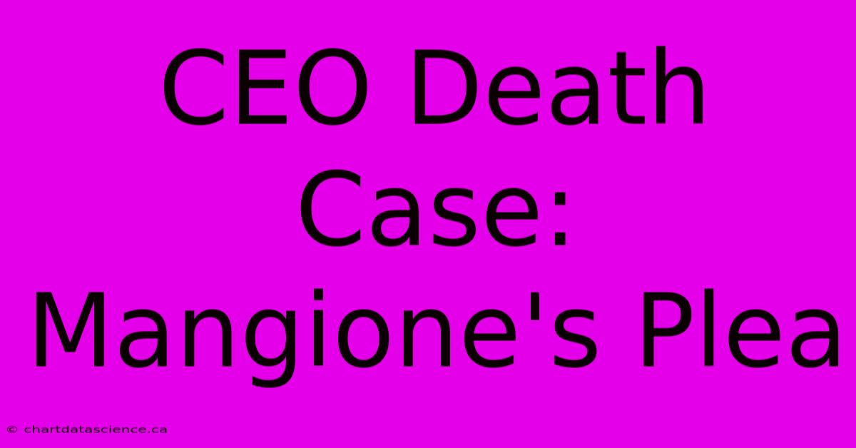 CEO Death Case: Mangione's Plea