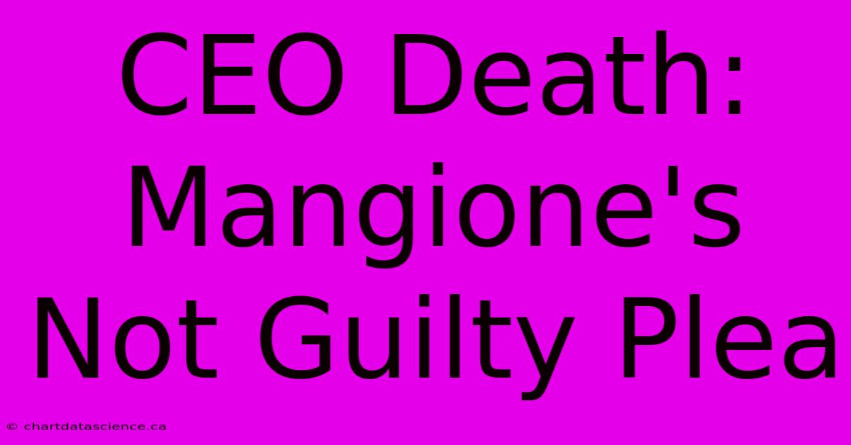 CEO Death: Mangione's Not Guilty Plea