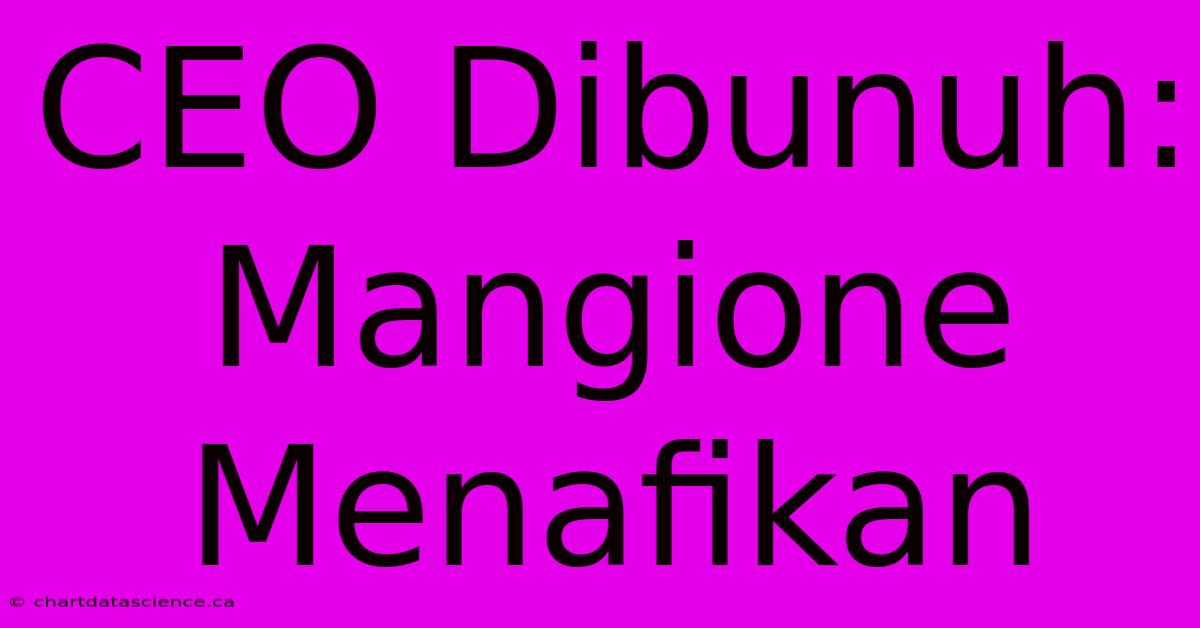 CEO Dibunuh: Mangione Menafikan