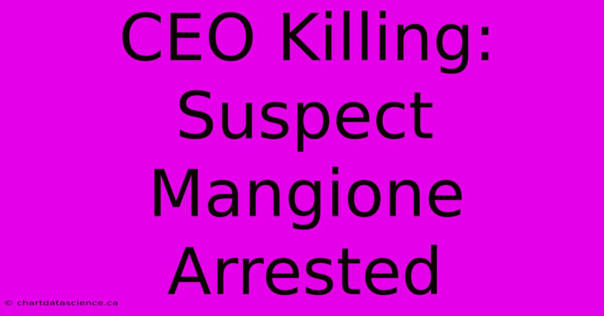 CEO Killing: Suspect Mangione Arrested