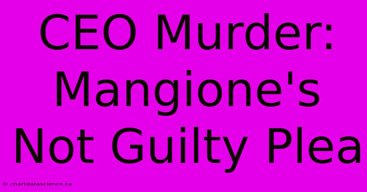 CEO Murder: Mangione's Not Guilty Plea