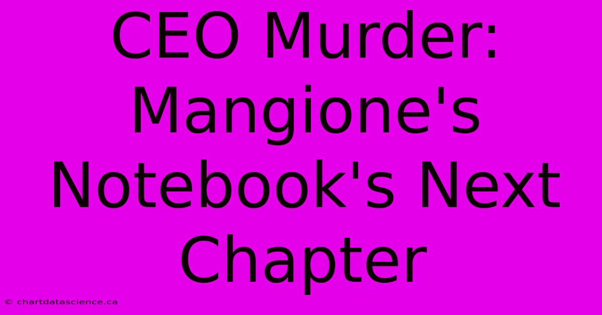 CEO Murder: Mangione's Notebook's Next Chapter