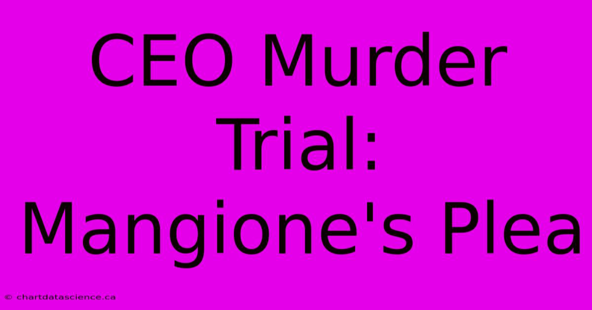 CEO Murder Trial: Mangione's Plea