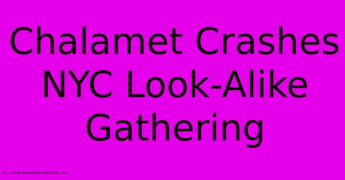 Chalamet Crashes NYC Look-Alike Gathering