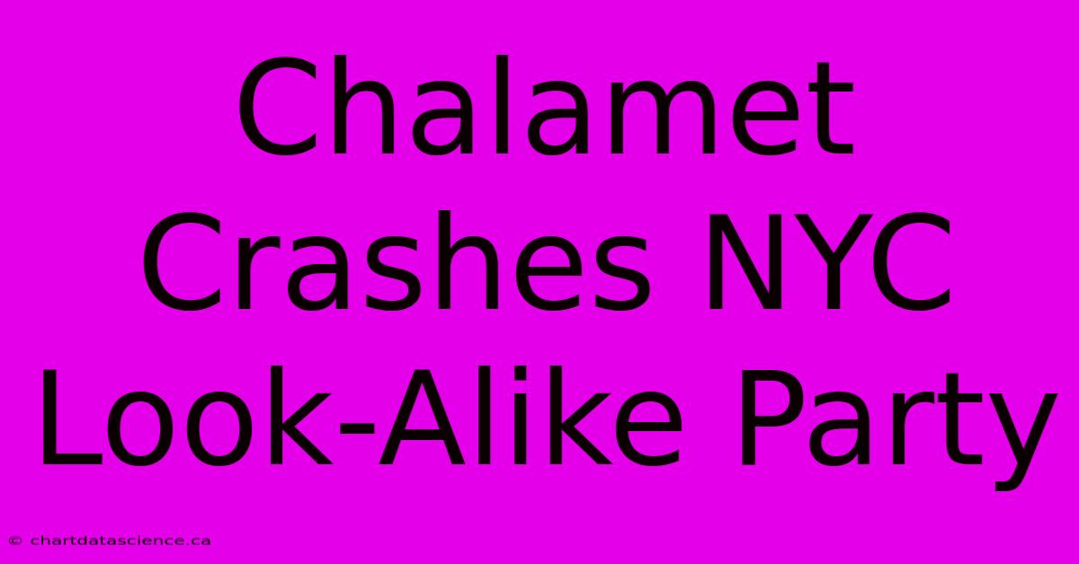 Chalamet Crashes NYC Look-Alike Party