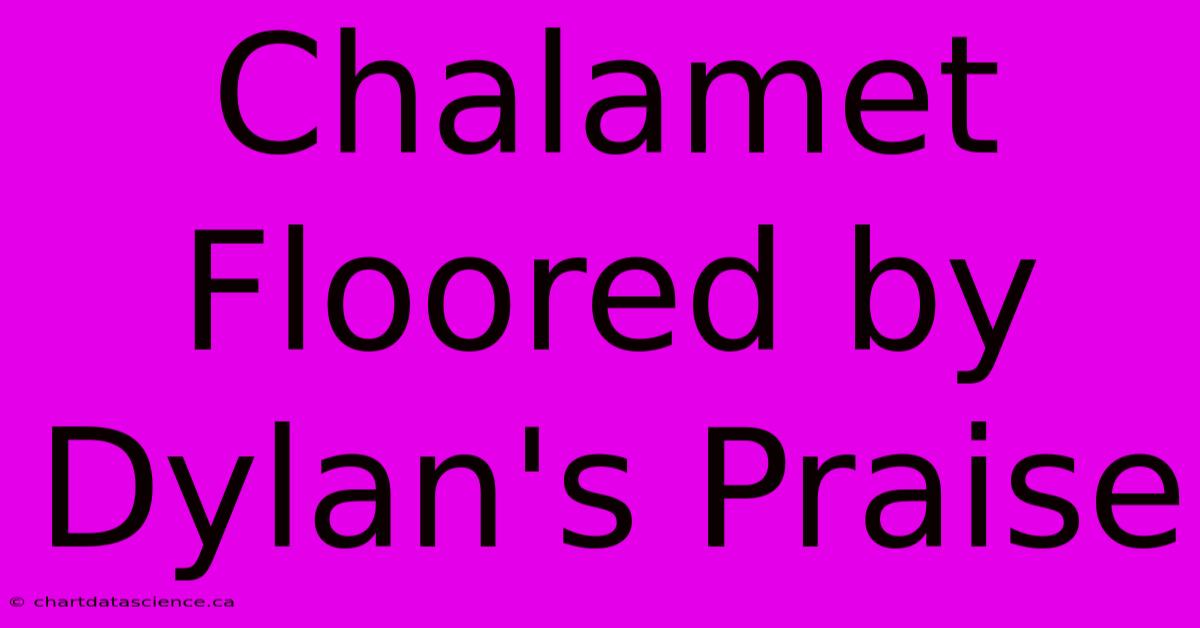 Chalamet Floored By Dylan's Praise