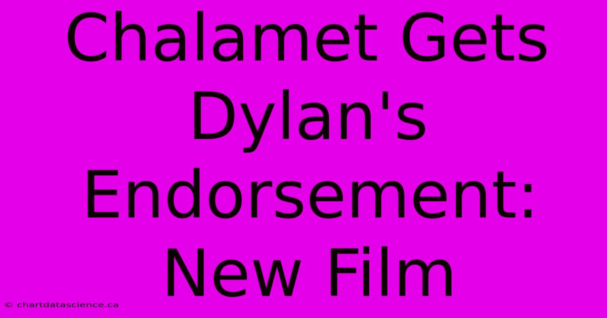 Chalamet Gets Dylan's Endorsement: New Film