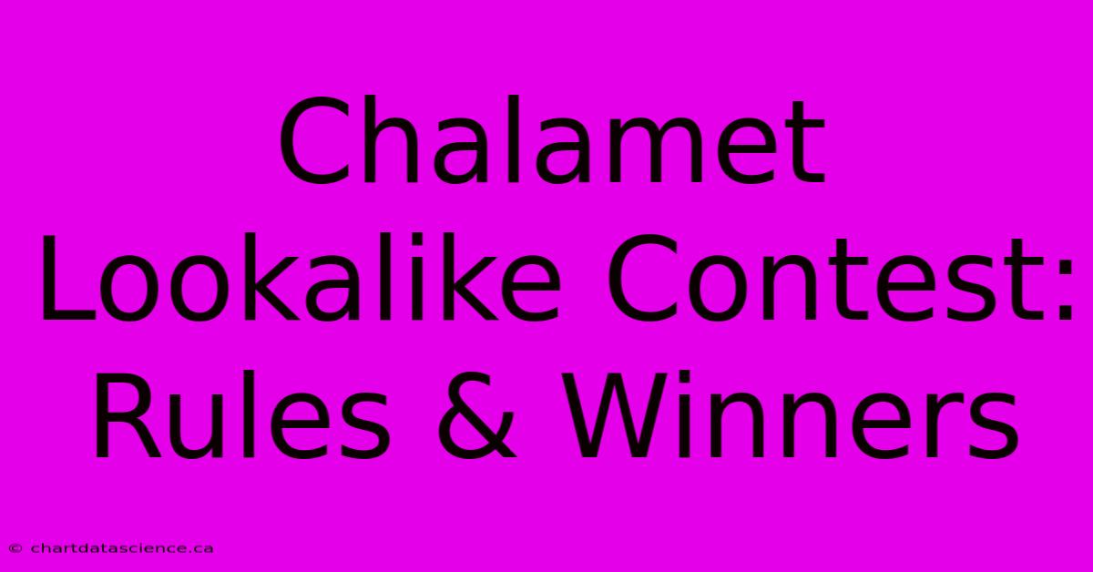 Chalamet Lookalike Contest: Rules & Winners