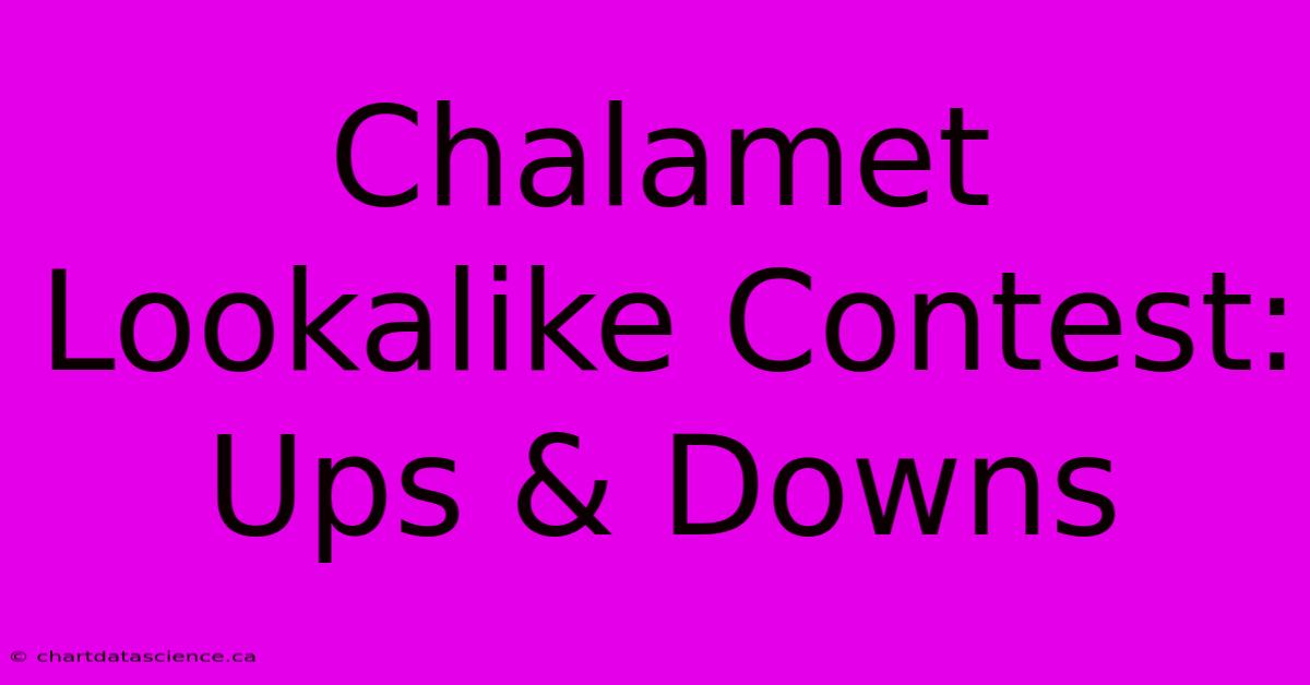 Chalamet Lookalike Contest:  Ups & Downs 