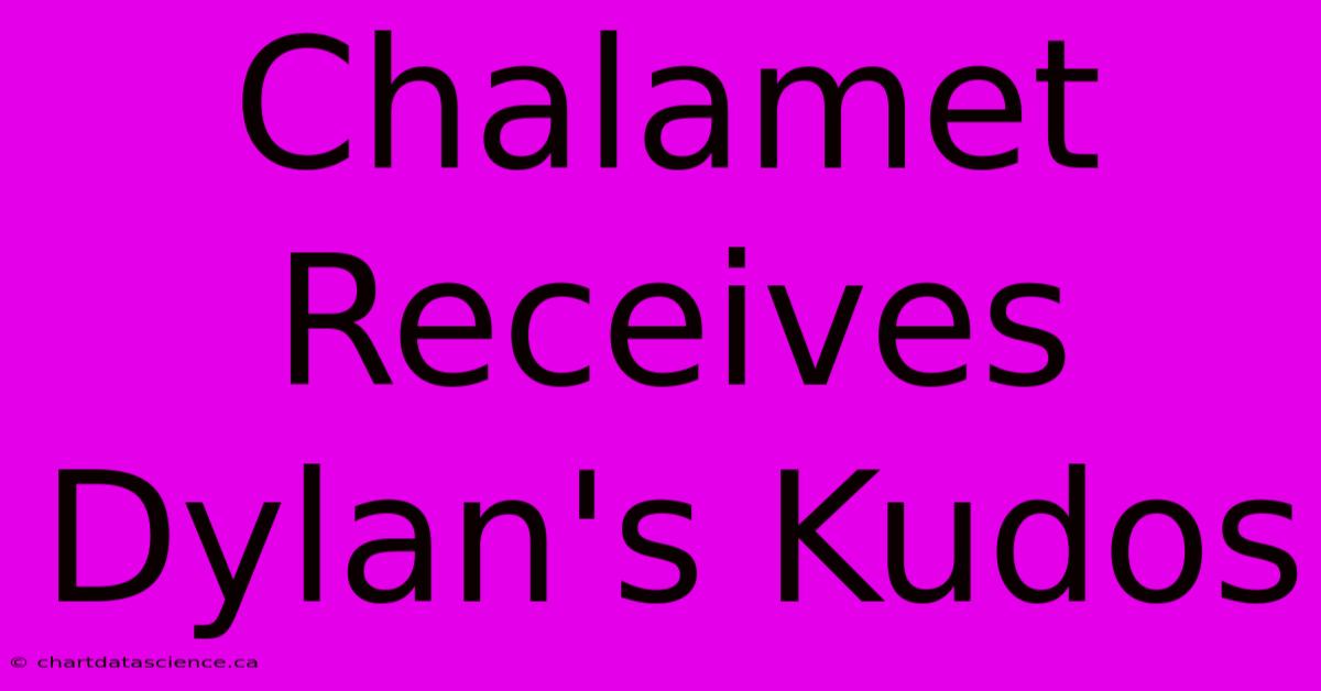 Chalamet Receives Dylan's Kudos