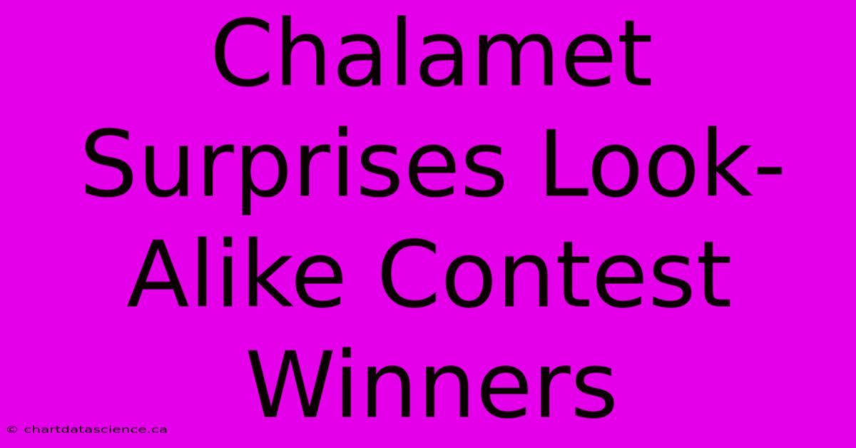 Chalamet Surprises Look-Alike Contest Winners