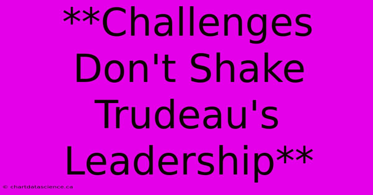 **Challenges Don't Shake Trudeau's Leadership**