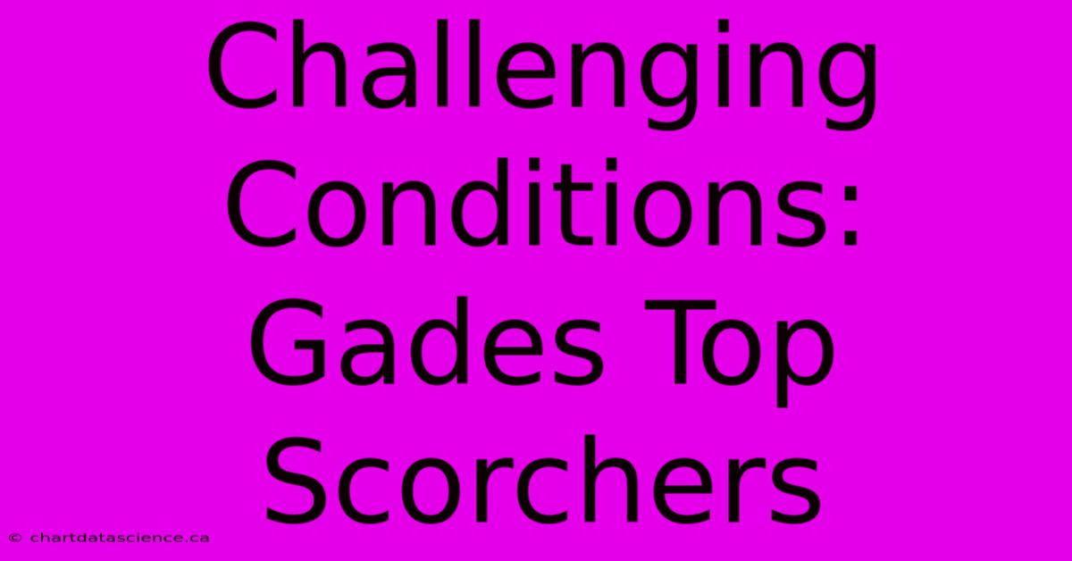 Challenging Conditions: Gades Top Scorchers