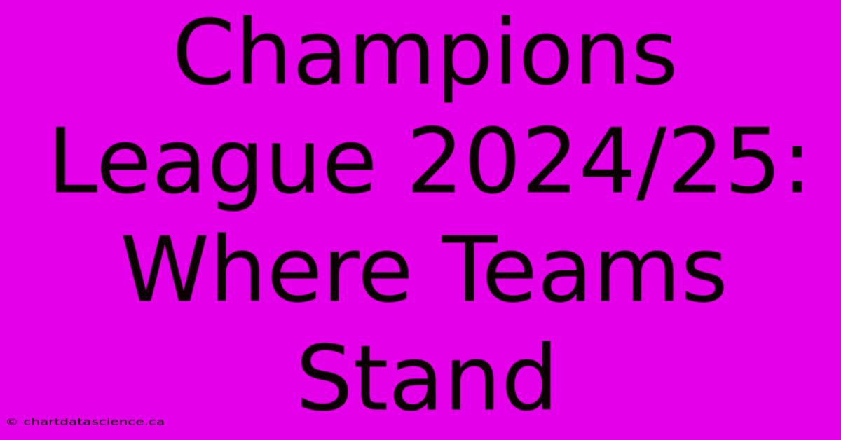 Champions League 2024/25:  Where Teams Stand