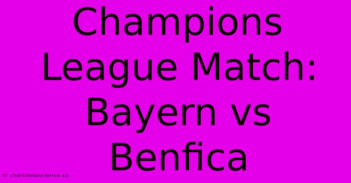 Champions League Match: Bayern Vs Benfica