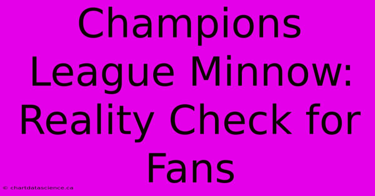 Champions League Minnow: Reality Check For Fans