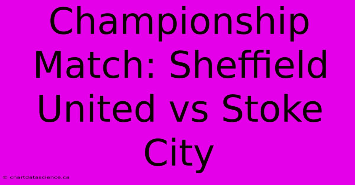 Championship Match: Sheffield United Vs Stoke City