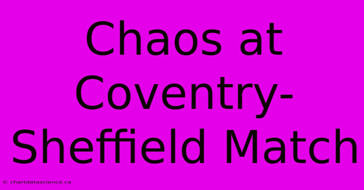 Chaos At Coventry-Sheffield Match