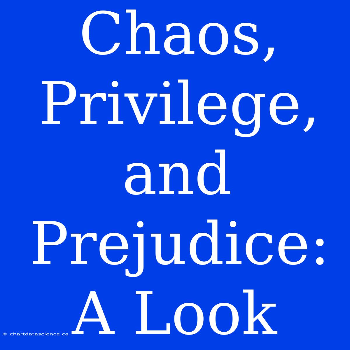 Chaos, Privilege, And Prejudice: A Look