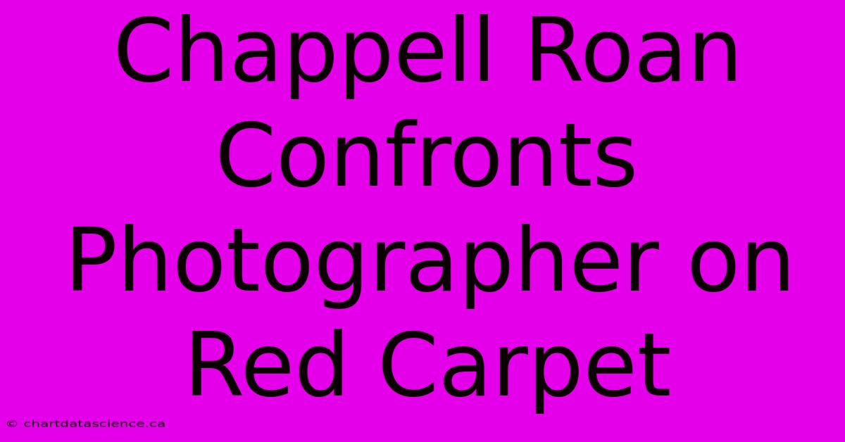 Chappell Roan Confronts Photographer On Red Carpet