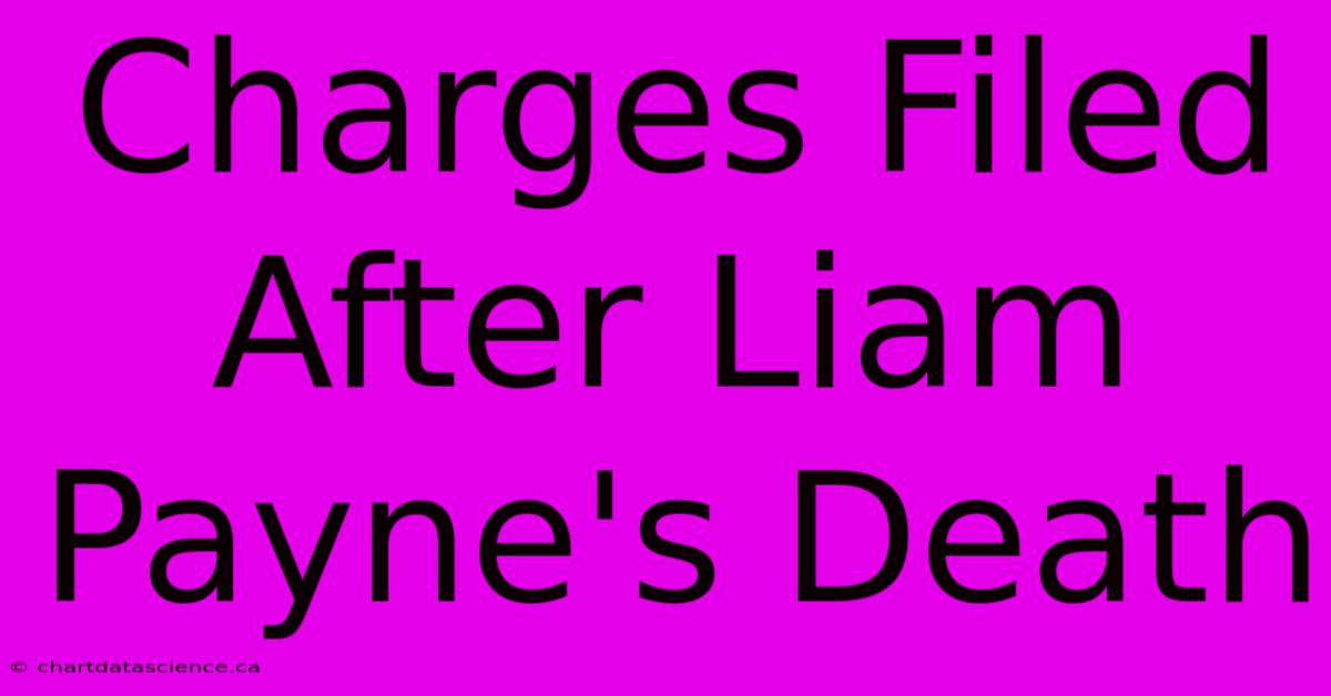 Charges Filed After Liam Payne's Death 