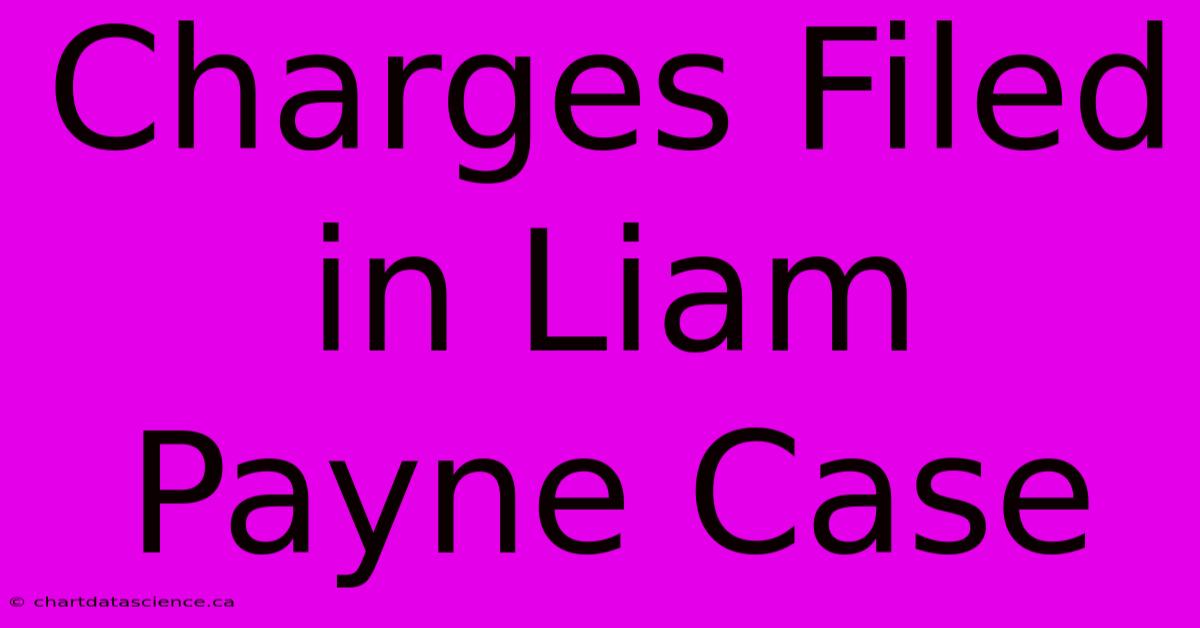 Charges Filed In Liam Payne Case