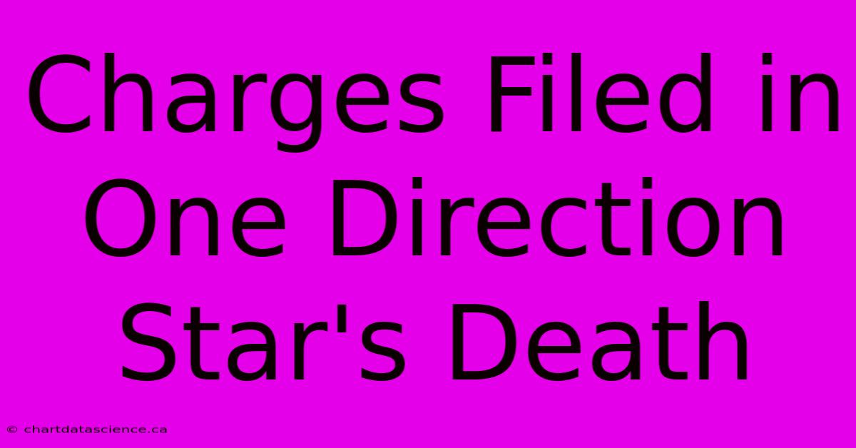 Charges Filed In One Direction Star's Death