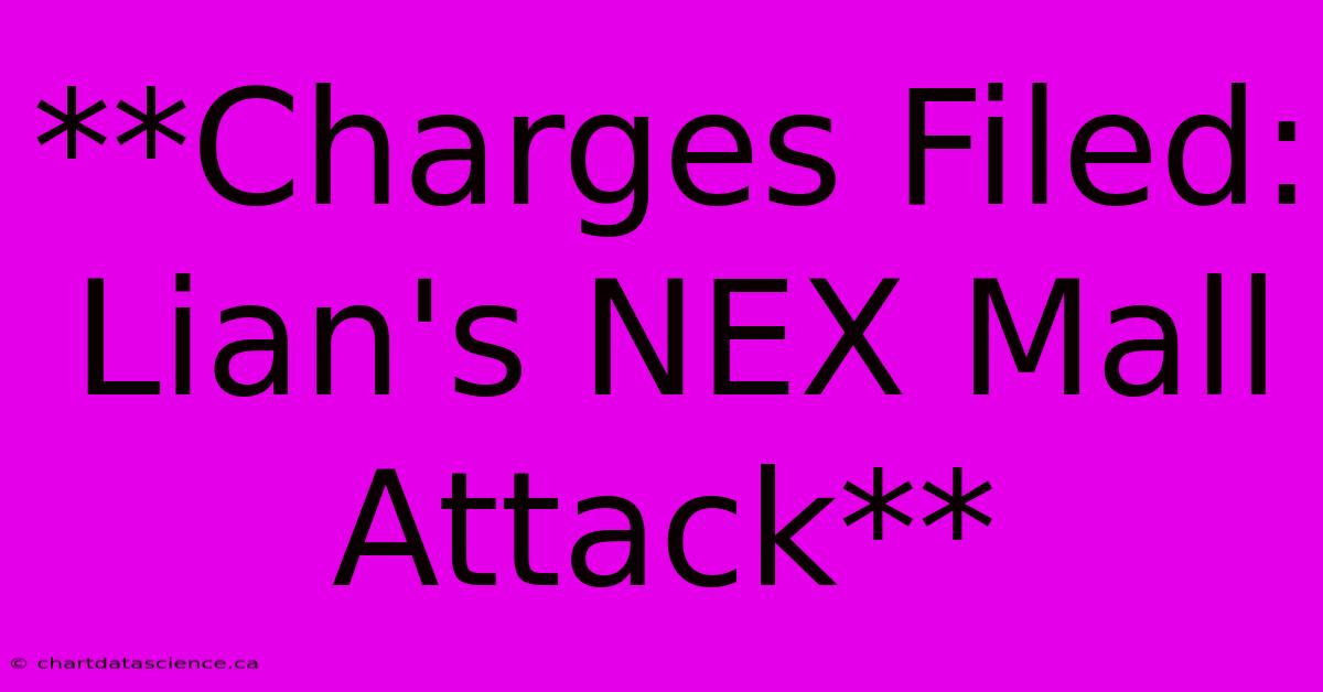 **Charges Filed: Lian's NEX Mall Attack**