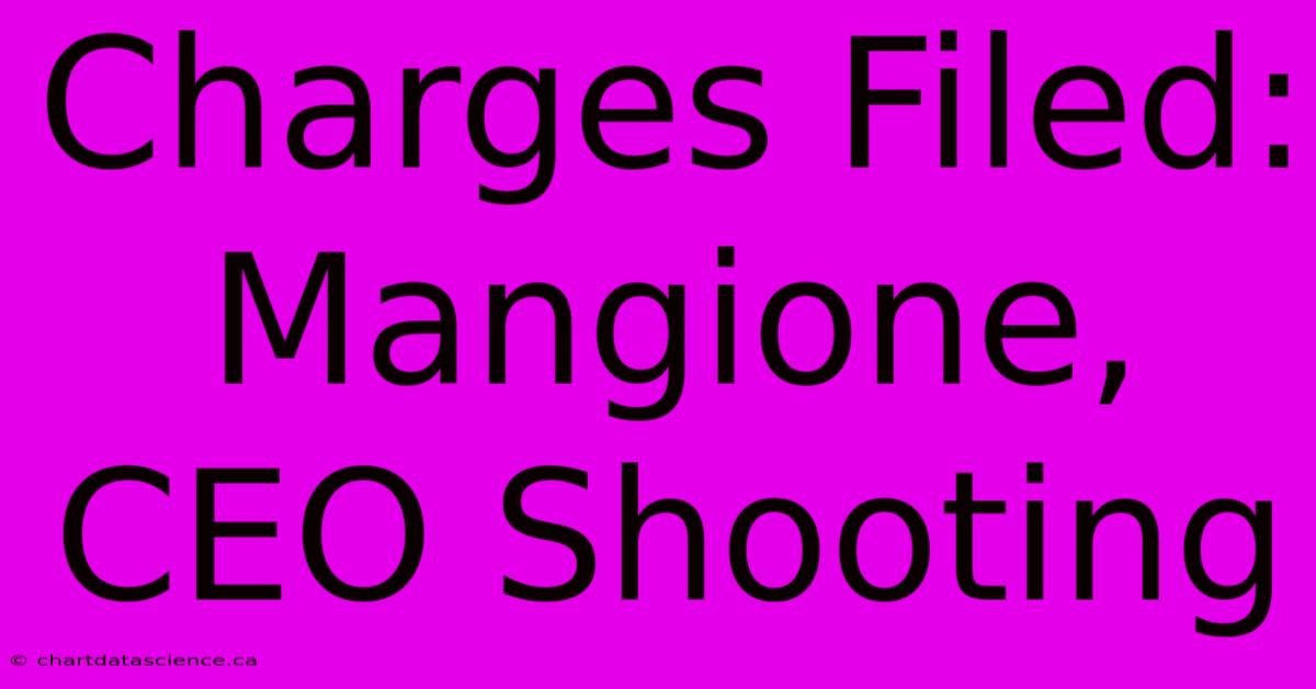 Charges Filed: Mangione, CEO Shooting