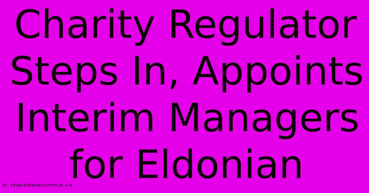 Charity Regulator Steps In, Appoints Interim Managers For Eldonian