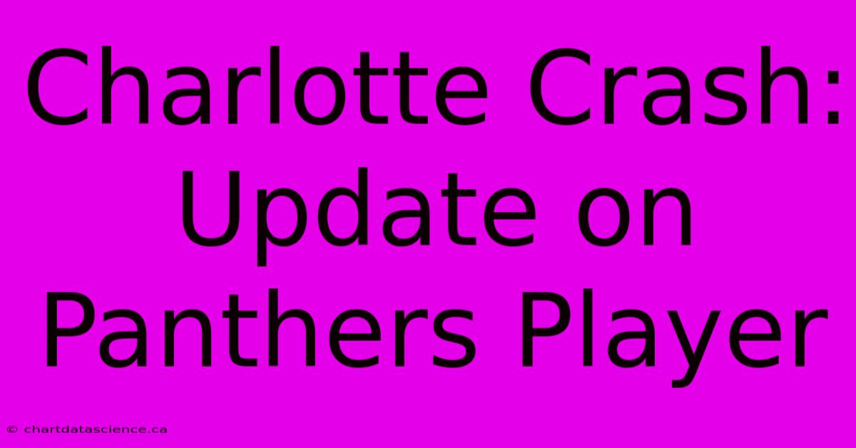 Charlotte Crash: Update On Panthers Player 