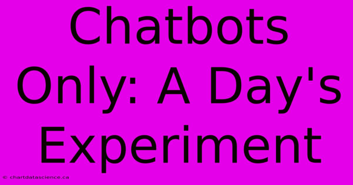 Chatbots Only: A Day's Experiment