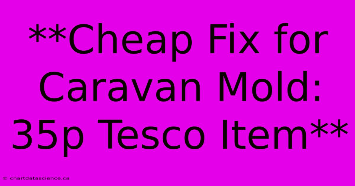 **Cheap Fix For Caravan Mold: 35p Tesco Item** 